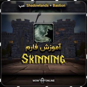 آموزش فارم Skinning در Bastion