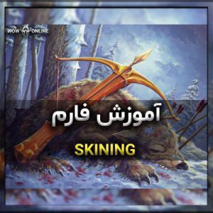 آموزش فارم Skinning در مالدراکسوس