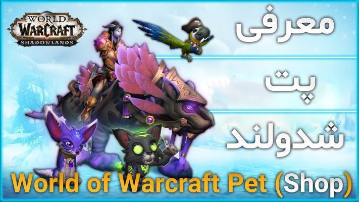 معرفی محصول پت در ورلد اف وارکرفت