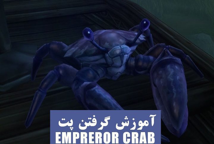 آموزش گرفتن پت Empreror Crab