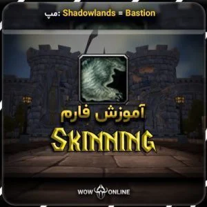آموزش فارم Skinning در Bastion