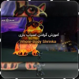 آموزش گرفتن اسباب بازی Whole-Body Shrinka