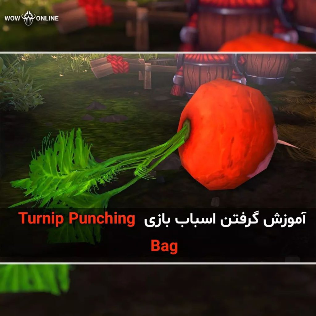 آموزش گرفتن اسباب بازی Turnip Punching Bag